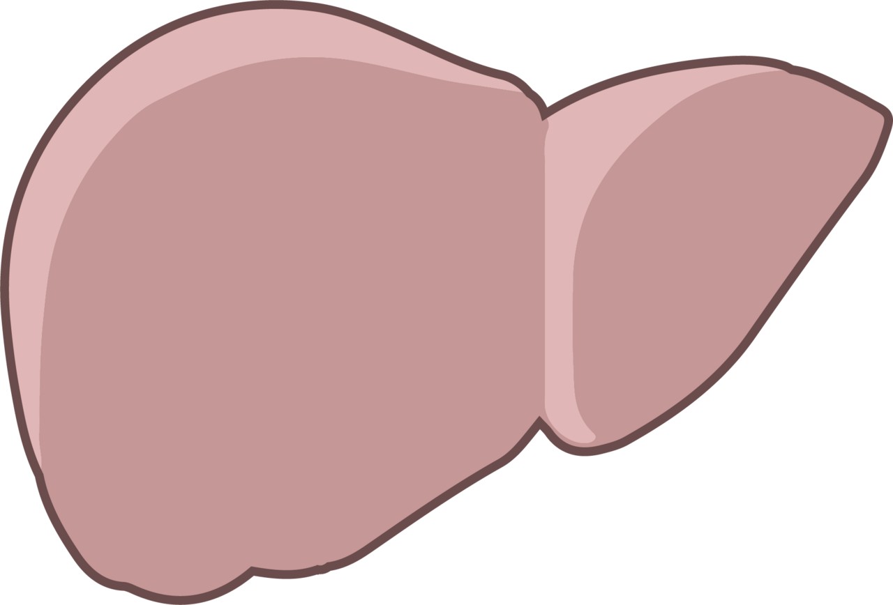 Liver Trouble Signs You Should Not Ignore