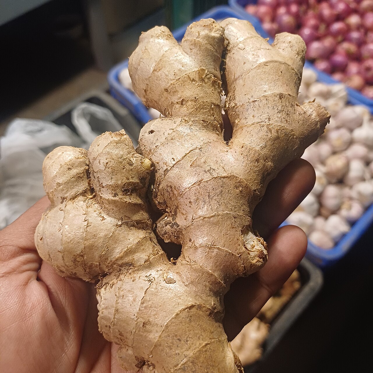 Ginger's Health Benefits: From Nausea to Inflammation