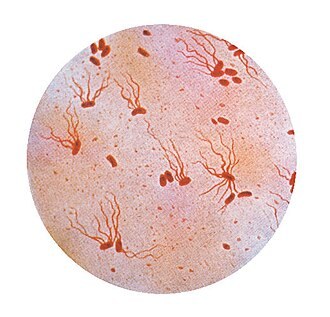 Typhoid: Know the Symptoms and Food Restrictions to Recover Fast