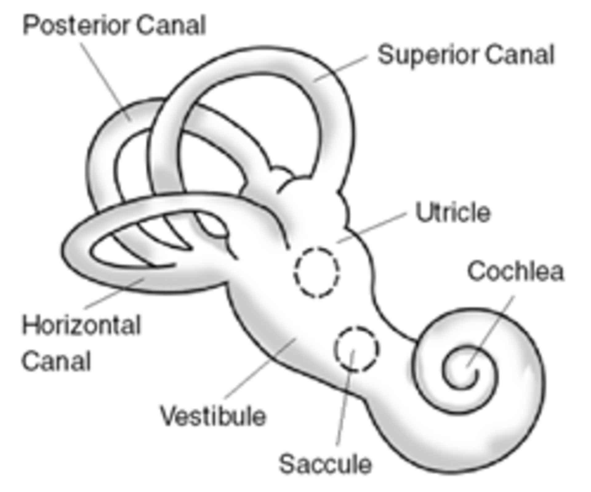 Vertigo: Causes and How to Manage It